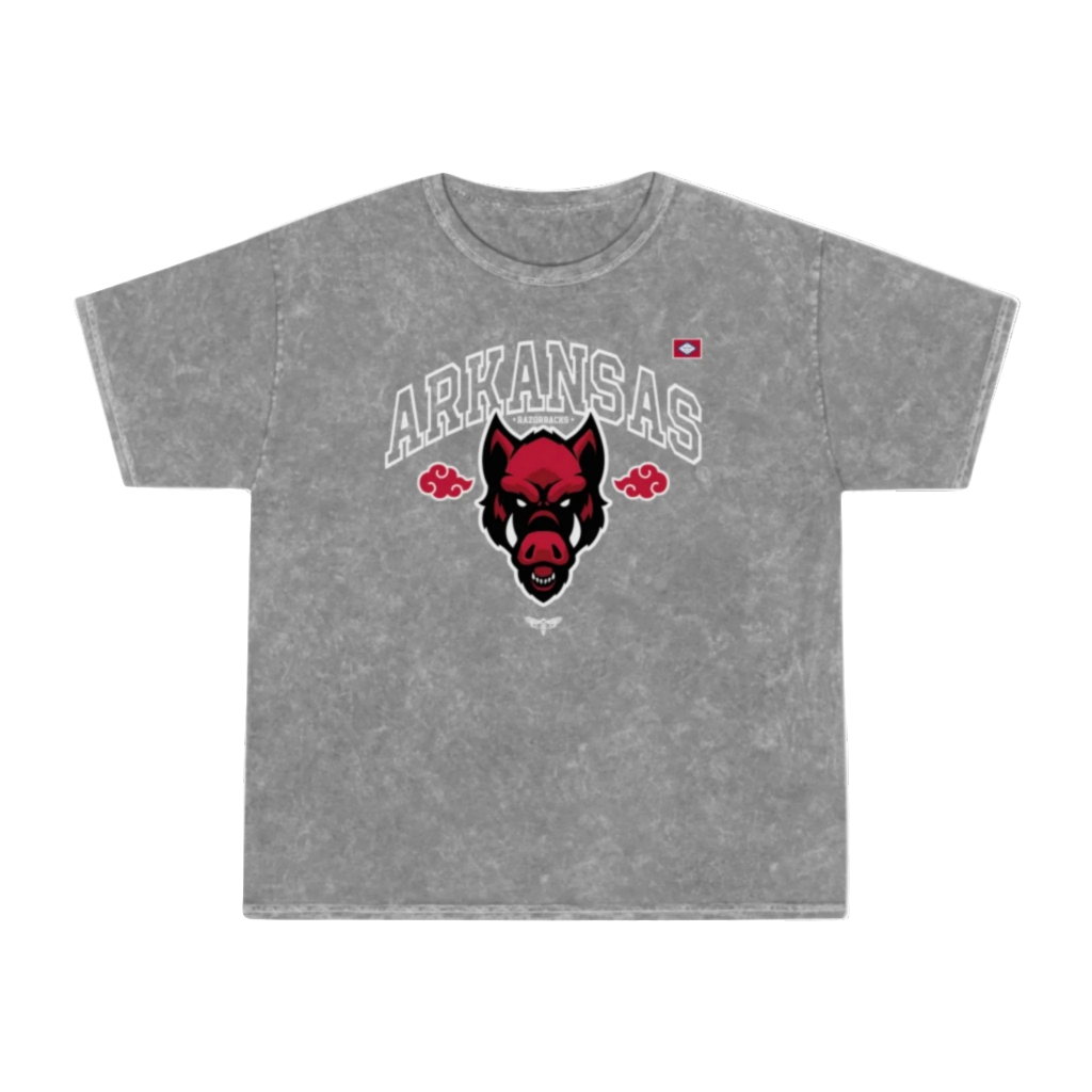 Arkansas number 7 red cloud hog t-shirt mineral washed tee shirt butterfly death head moth 